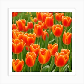 ORANGE TULIPS lucky charm Art Print