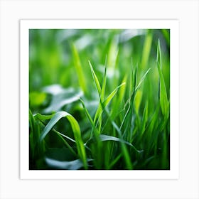 Grass Plant Texture Green Detail Nature Fresh Beautiful Summer Natural Spring Ecology Be (7) Art Print