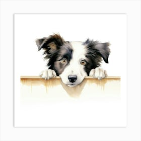 Border Collie 7 Art Print