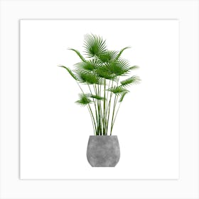 Palm Tree In A Pot Art Print