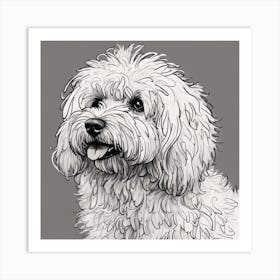 Poodle Art Print