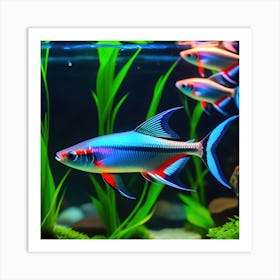 Fishes In Aquarium Neon Tetra Fish Art Print