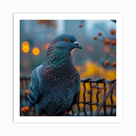 Pigeon In The Rain Art Print