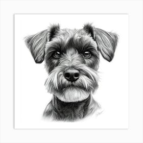 Schnauzer 1 Art Print