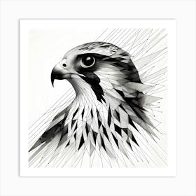 Falcon Head Line Drawing - Wild Bird Artwork 155 Art Print