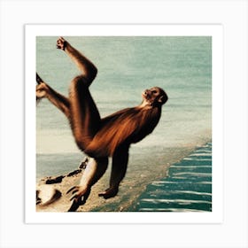 Monkey In The Water Art Print