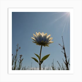 Single Flower In Field Art Print