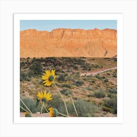 Desert Wildflower Art Print