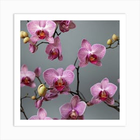 Orchids Art Print