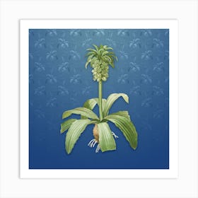 Vintage Eucomis Regia Botanical on Bahama Blue Pattern n.0945 Art Print