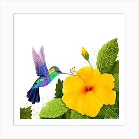 Hummingbird And Hibiscus Square Art Print