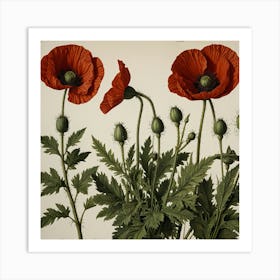 Three Red Poppies Art Print