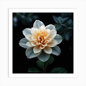 Dahlia 4 Art Print