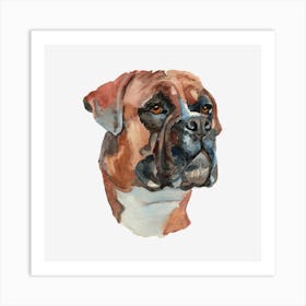 The Boxer Dog Art Print