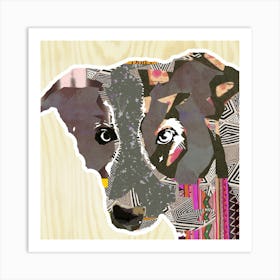 Bordercollie Collage Art Print