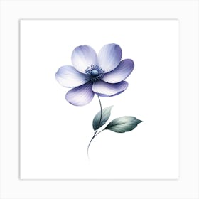 Anemone Flower Art Print