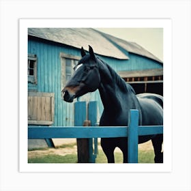 Black Horse Art Print