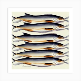 Sardines 1 Art Print