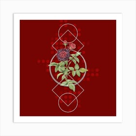 Vintage One Hundred Leaved Rose Botanical with Geometric Line Motif and Dot Pattern n.0324 Art Print