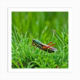 Grasshopper 65 Art Print