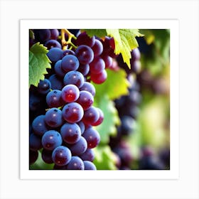 Grapes On The Vine 25 Art Print