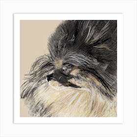 Pomeranian Dog Art Art Print