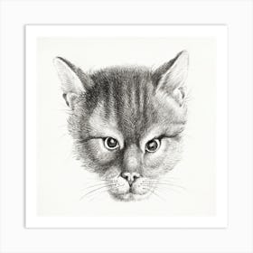 Sketch Of A Cat 2, Jean Bernard Art Print