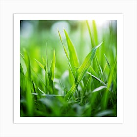 Grass Plant Texture Green Detail Nature Fresh Beautiful Summer Natural Spring Ecology Be (4) Art Print