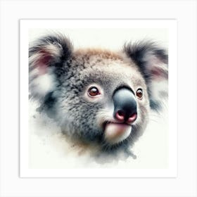 Koala 9 Art Print