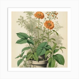 Orange Flowers In A Pot Art Print