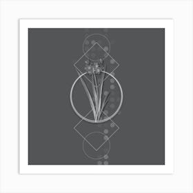 Vintage Daffodil Botanical with Line Motif and Dot Pattern in Ghost Gray n.0035 Art Print