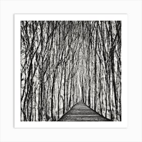 Path Through The Woods Art Print