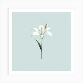 White Lily 1 Art Print