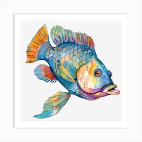 Colorful Fish Art Print