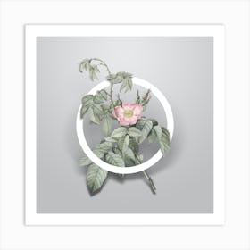 Vintage Apple Rose Minimalist Botanical Geometric Circle on Soft Gray Art Print