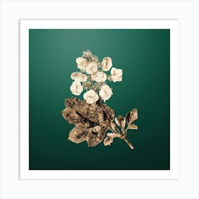Gold Botanical Oakleaf Hydrangea on Dark Spring Green n.0271 Art Print