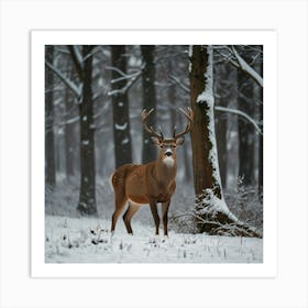 Deer In Winter Forest Art Print