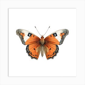 Butterfly 35 Art Print