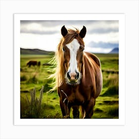 Grass Horse Rural Farm Nature Field Mammal Fast Horse Natural Animal Meadow Mane Friends (3) Art Print