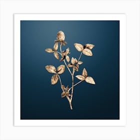 Gold Botanical Pink Clover on Dusk Blue n.0136 Art Print
