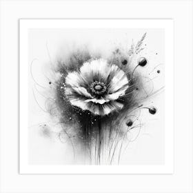 Black And White Poppy Art Print