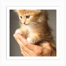 Kitten In A Man'S Hand Art Print