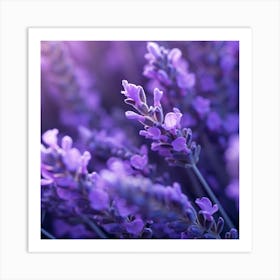 Lavender Flowers 13 Art Print