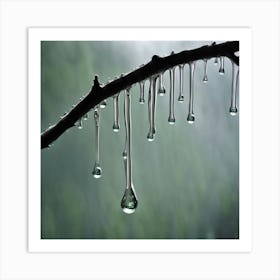 Raindrops On A Branch Art Print