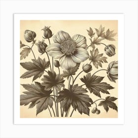 Anemones Art Print