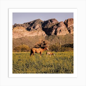 Salt River Wild Horses Art Print