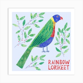 Rainbow Lorikeet Parrot Bird Art Print