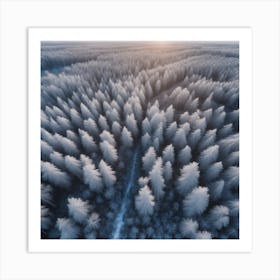 Aerial Photography Of A Forest Art Print