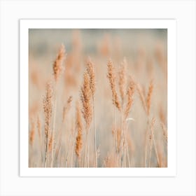 Wild Wheat Grass Art Print