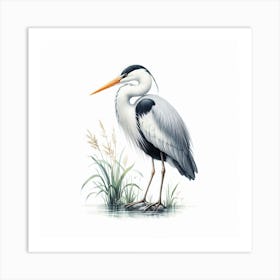 Heron Art Print